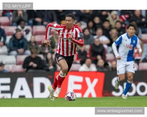 曼联传出有意乔布引关注图片报称多特高层坚决拒绝放人 曼联传出有意乔布引关注图片报称多特高层坚决拒绝放人