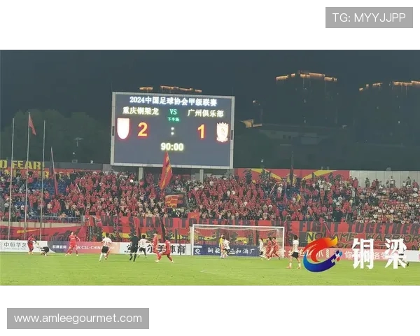 赵和靖为铜梁龙冲超喜庆 期待球队书写重庆足球新传奇